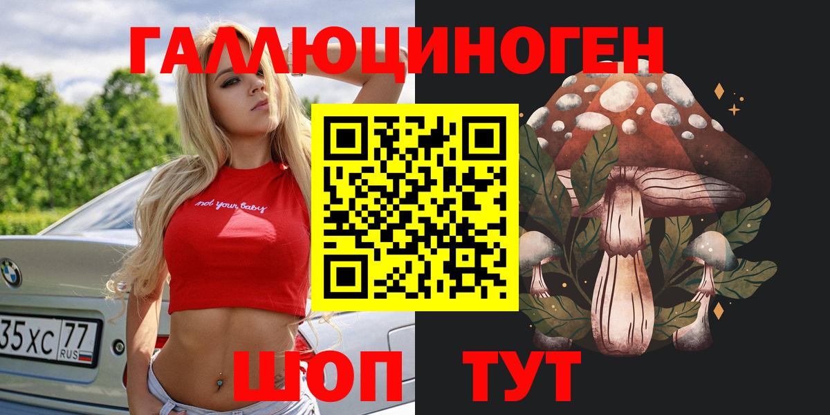 Псилоцибиновые грибы Psilocybine cubensis Семилуки